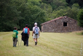 Rio Nansa y Monte de Troncos