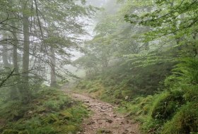 Ruta de los Sarrujanes - Canal de Cureñas
