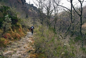 Ruta de los Sarrujanes - Canal de Cureñas)