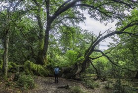 Sendero de los puentes