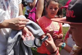 Taller muestreo de mariposas Saja Besaya