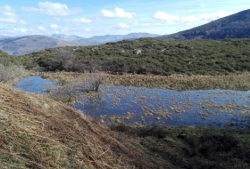 Turberas del río Magdalena