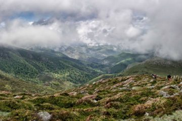 Convocatoria de subvenciones en la Red de Espacios Naturales Protegidos de Cantabria para 2018