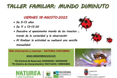 Taller infantil: mundo diminuto