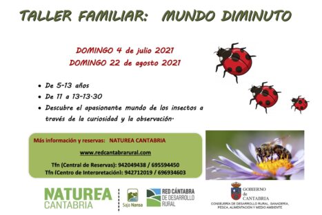 Taller infantil: mundo diminuto