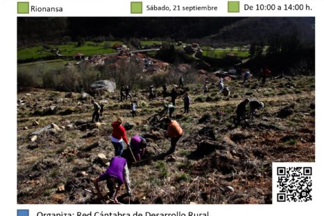 Vigilamos nuestro trabajo OTRA VEZ: conservación y reposición en la plantación de Cosío