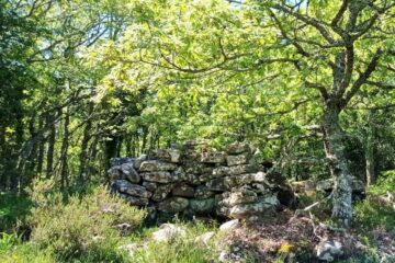 Los Pueblos Abandonados