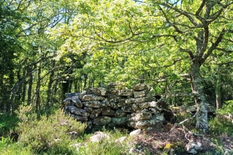 Los Pueblos Abandonados