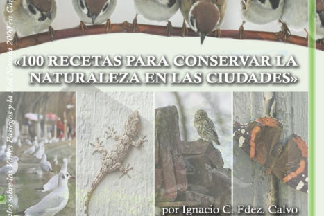 #LosJuevesdelaEstación – 100 recetas para conservar la naturaleza en las ciudades