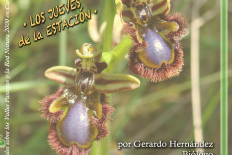 #LosJuevesdelaEstación – ‘Orquideas silvestres cantábricas’ con Gerardo Hernández