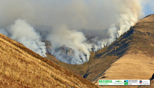Incendios en La Garma (Bustalpasante)