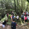 Las actividades de Educación Ambiental del Proyecto Steps for LIFE en Cantabria, coordinadas por la RCDR, llegaron a casi un millar de estudiantes de la comunidad