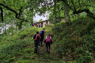 Arroyo Las Cortes