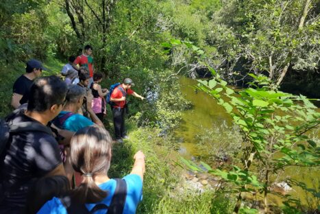 #Natureandoencorto: Vegacorredor, el regreso de la nutria