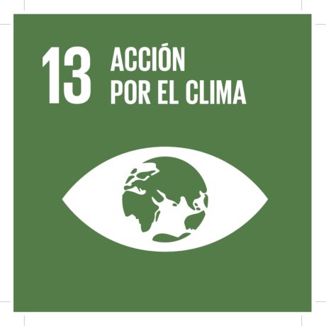 ODS13 - Acción por el clima