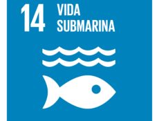 ODS14 - Vida Submarina