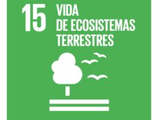 ODS15 - Vida de ecosistemas terrestres