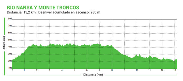 Perfil_Rio_Nansa_Monte_Toncos