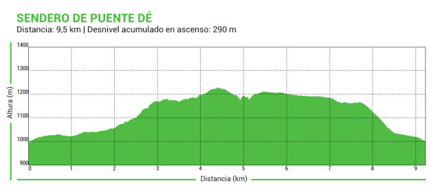 Perfil_Sendero_Puente_De