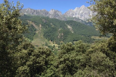 Natureando el Camino: Ruta Castellana, 1ª parte: De Piedrasluengas a Yebas.