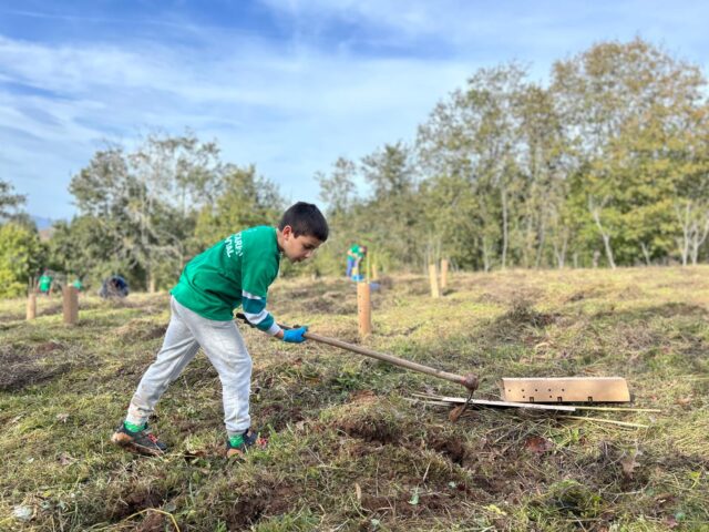 Niño ahoyando el terreno