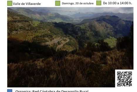 Plantación forestal en Valle de Villaverde. Monte Argomeo