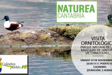 Visita ornitológica en Colindres (gratuita)