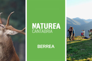 Berrea y consejos para observar la naturaleza