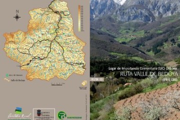 Valle de Bedoya