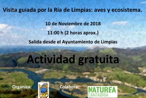 Ría de Limpias: aves y ecosistema (gratuita)