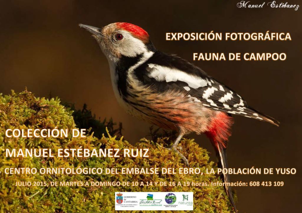 El Centro Ornitológico del Embalse del Ebro alberga durante julio una muestra fotográfica de Manuel Estébanez sobre la fauna de Campoo