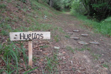 #Natureandoencorto Valle de Pesaguero: senda de Cestañeru