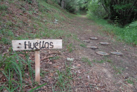 #Natureandoencorto Valle de Pesaguero: senda de Cestañeru
