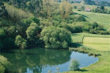 El Gobierno aprueba las normas de protección del Área Natural de Especial Interés Pozo Tremeo en Polanco