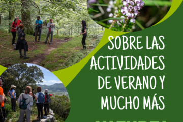 Sobre las actividades de verano de Naturea Cantabria y mucho más
